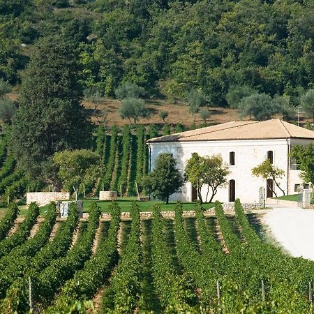 San Calisto Camere Con Vigna 波波利 外观 照片