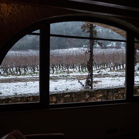 San Calisto Camere Con Vigna 波波利 外观 照片