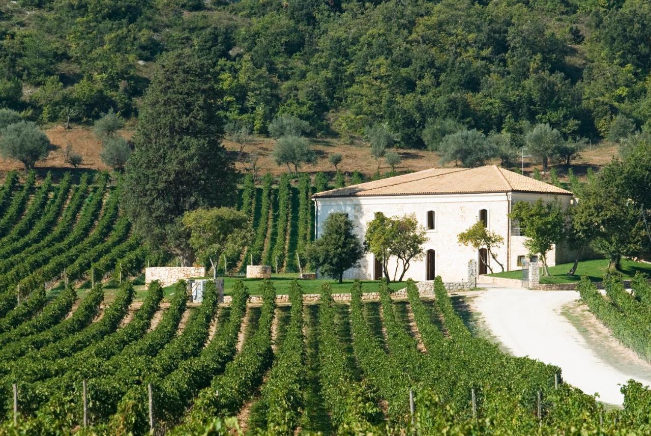 San Calisto Camere Con Vigna 波波利 外观 照片