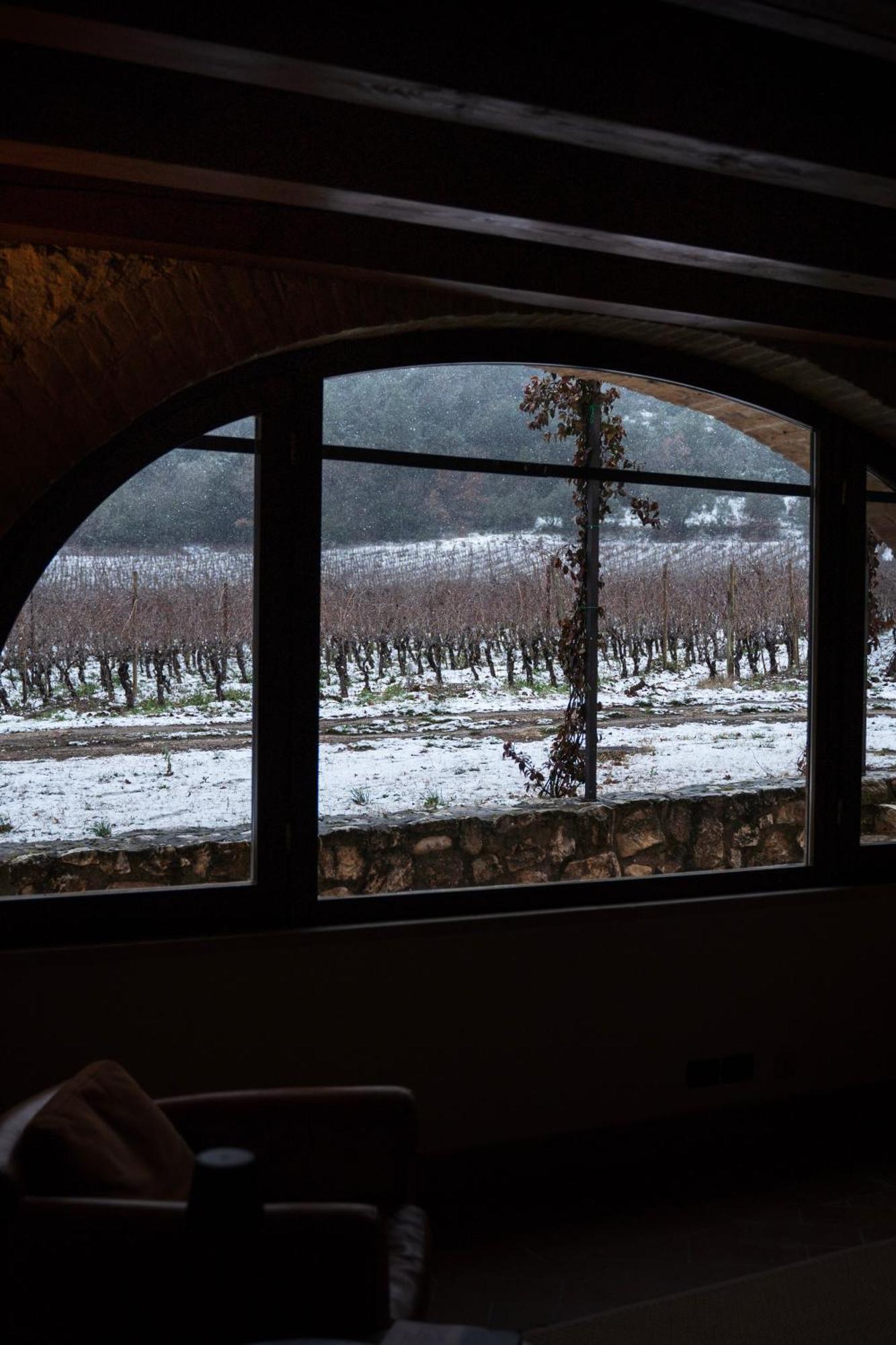 San Calisto Camere Con Vigna 波波利 外观 照片